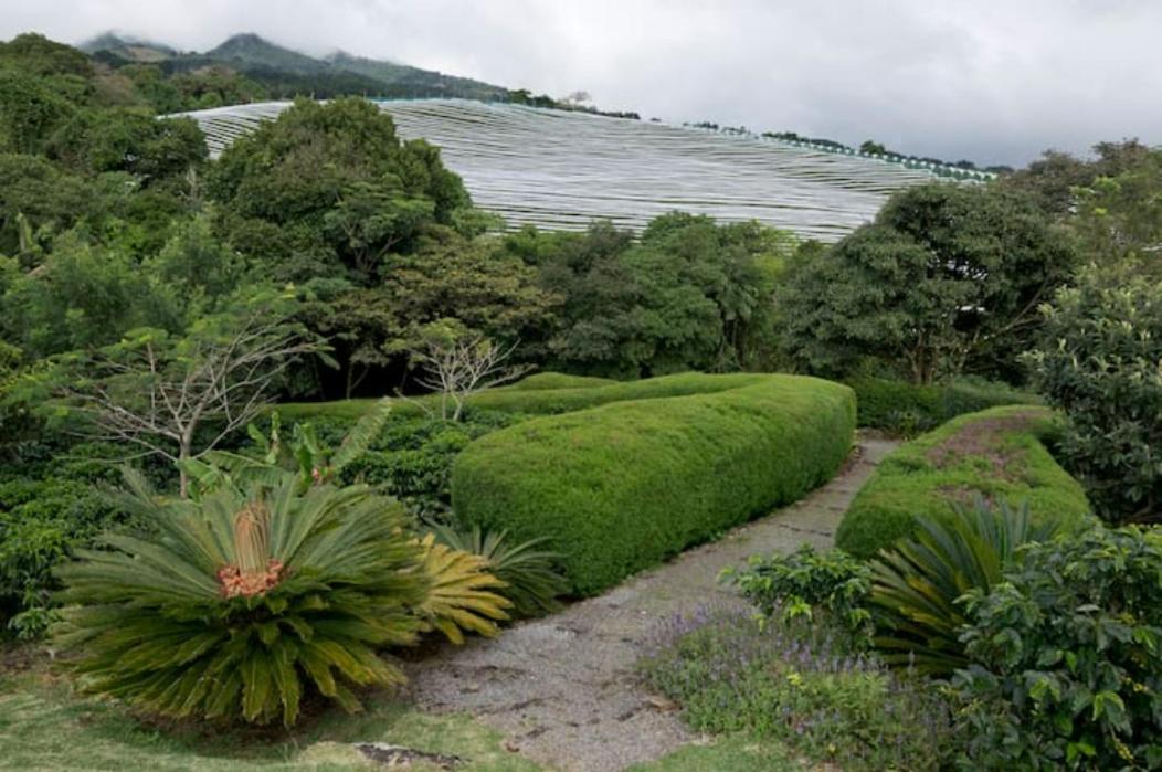 Coffee Garden Ranch Costa Rica Appartement Concepcion  Buitenkant foto