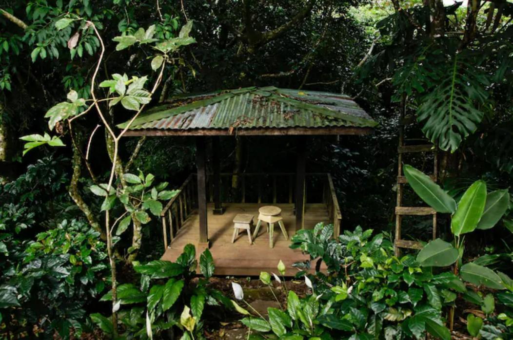 Coffee Garden Ranch Costa Rica Appartement Concepcion  Buitenkant foto