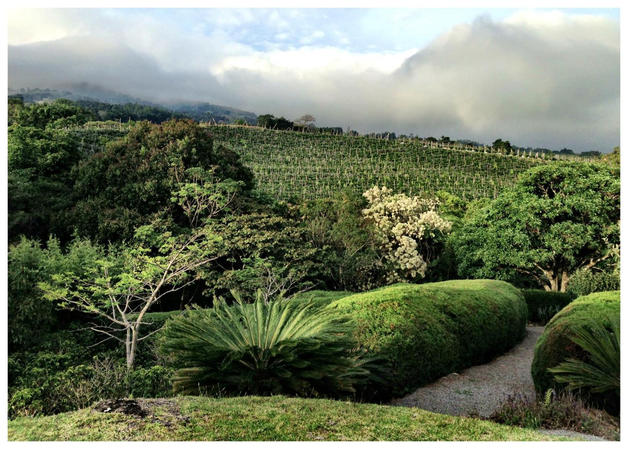 Coffee Garden Ranch Costa Rica Appartement Concepcion  Buitenkant foto